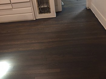 Hardwood-Floor-Water-Damage-Auburn-WA